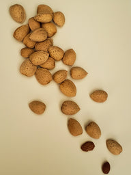 Almonds over almond  super matte backdrop
